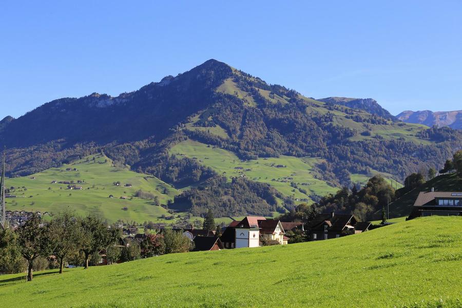 调整大小 IMG_0163.JPG