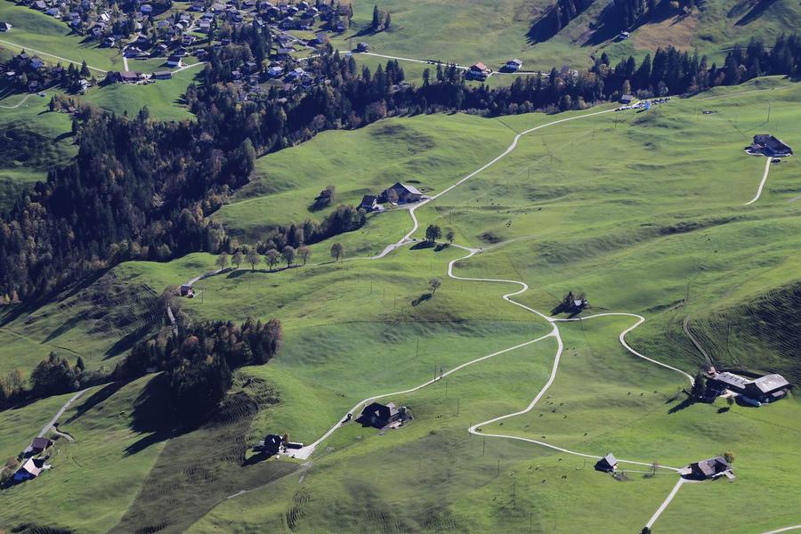 调整大小 IMG_0270.JPG