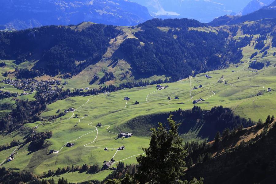 调整大小 IMG_0273.JPG