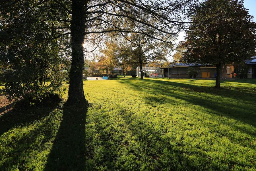 调整大小 IMG_0004.JPG