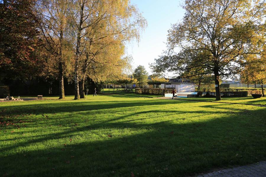 调整大小 IMG_0008.JPG