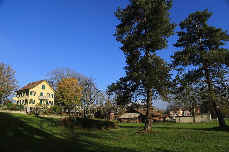 调整大小 IMG_1188.JPG