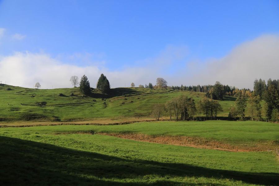 调整大小 IMG_1260.JPG