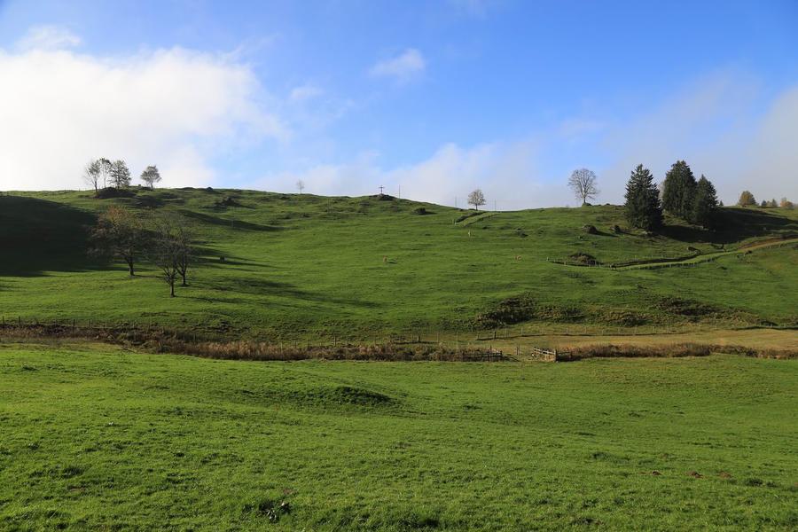 调整大小 IMG_1267.JPG