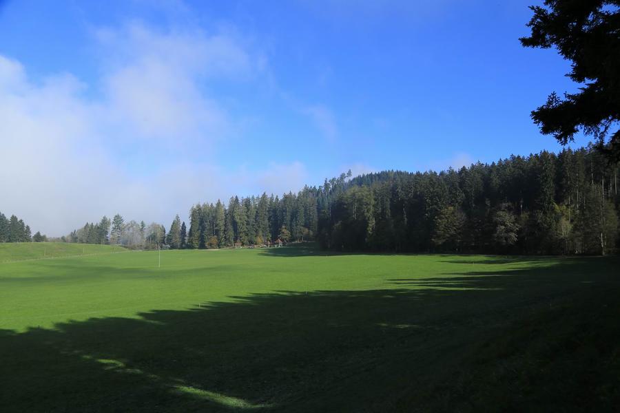 调整大小 IMG_1284.JPG