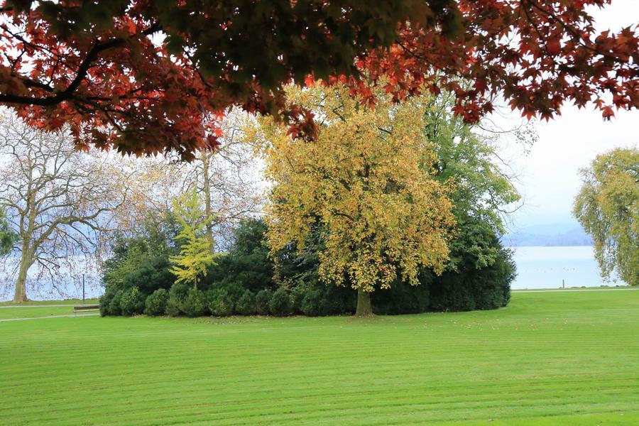 调整大小 IMG_2763.JPG