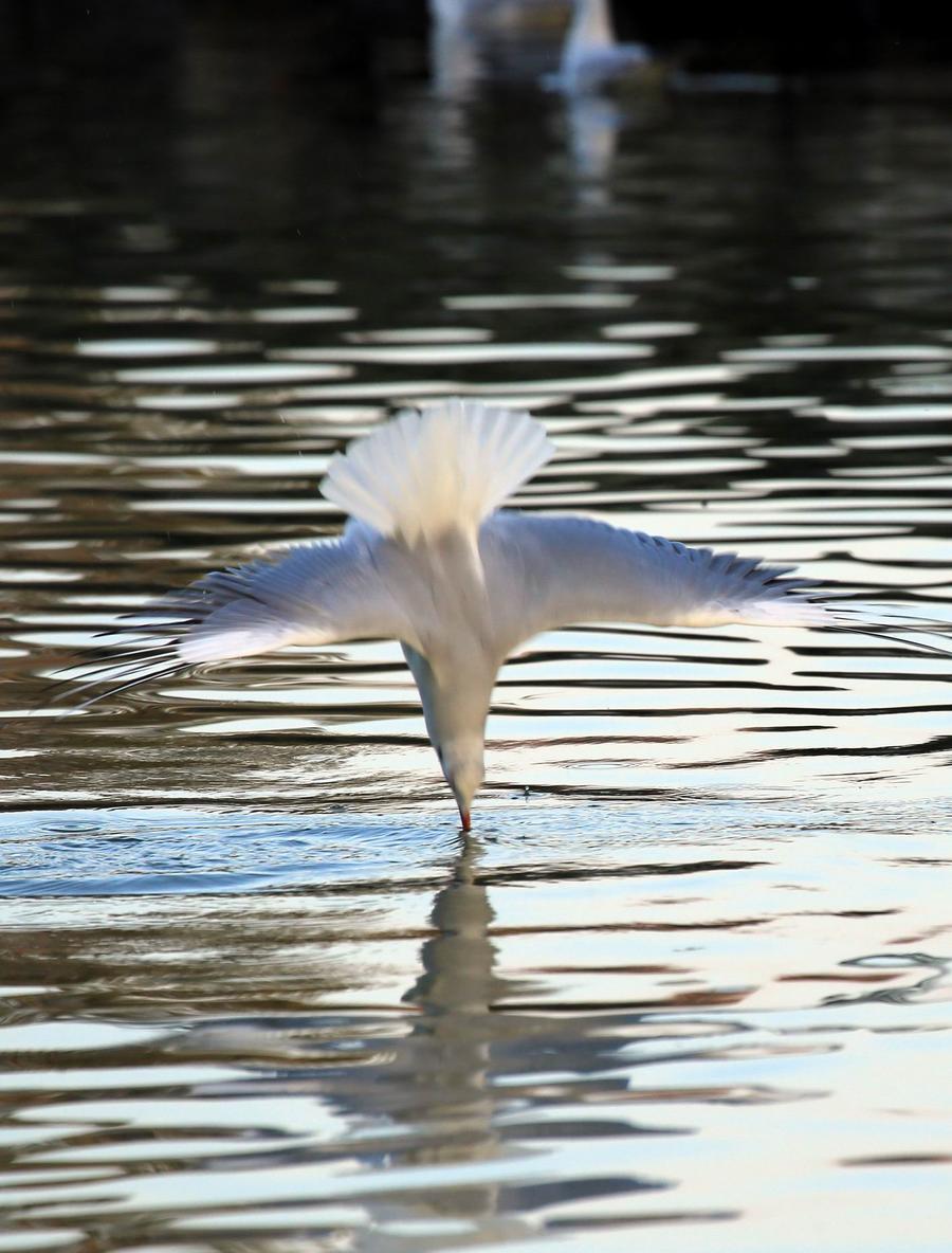 调整大小 IMG_301211.jpg