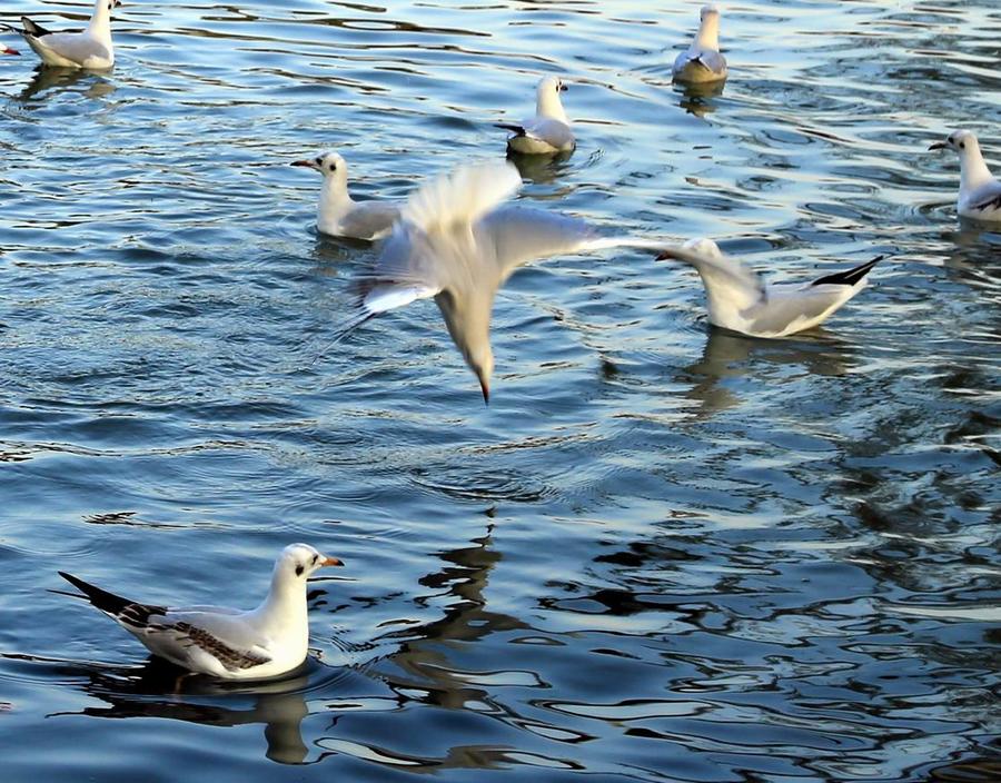 调整大小 IMG_294011.jpg