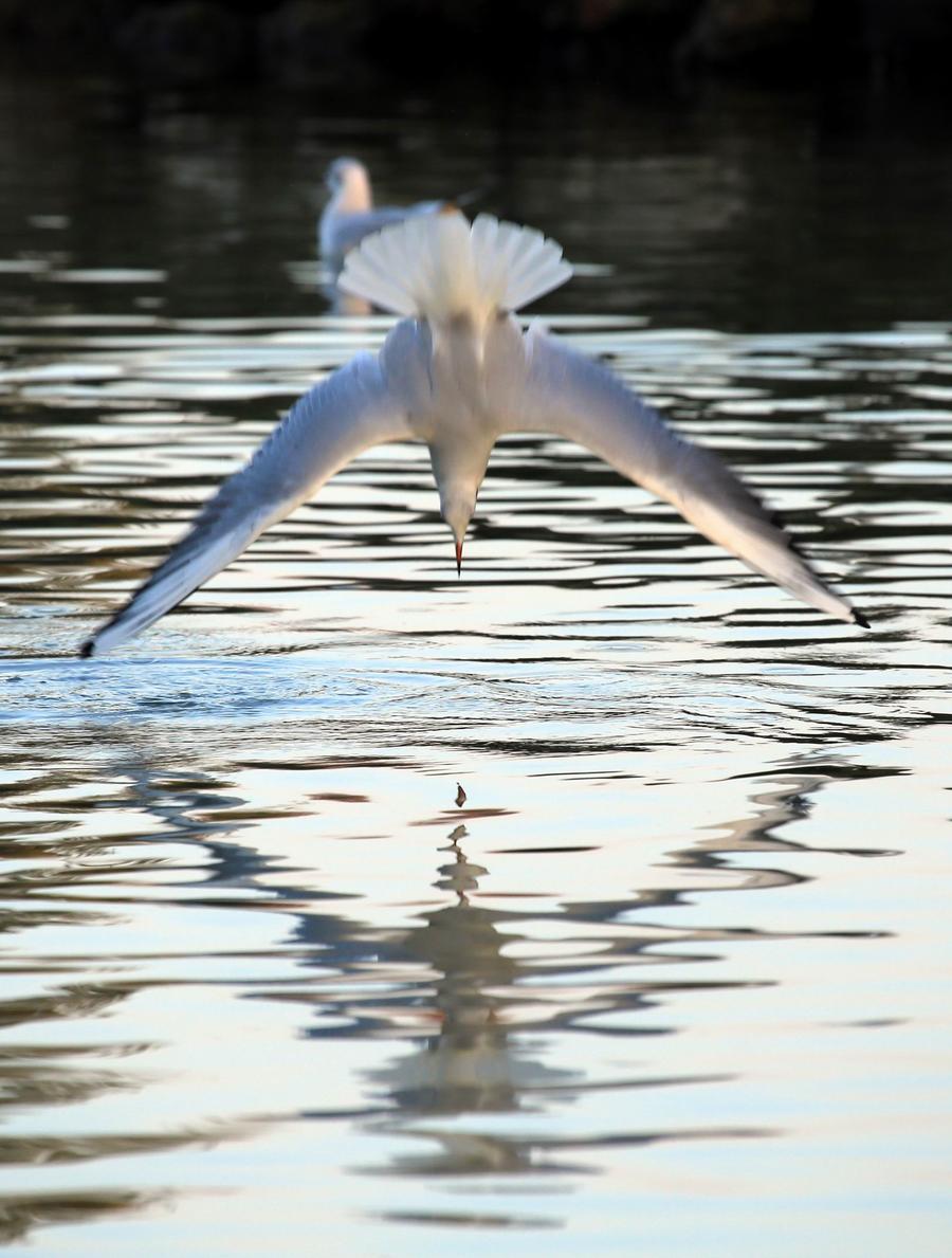 调整大小 IMG_302811.jpg