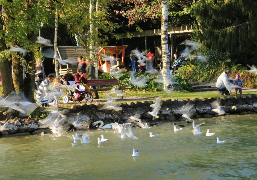 调整大小 IMG_206811.jpg