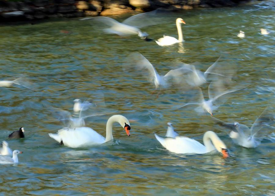 调整大小 IMG_212411.jpg