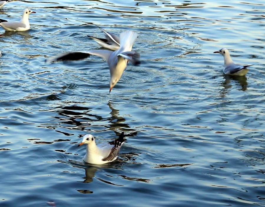 调整大小 IMG_293111.jpg