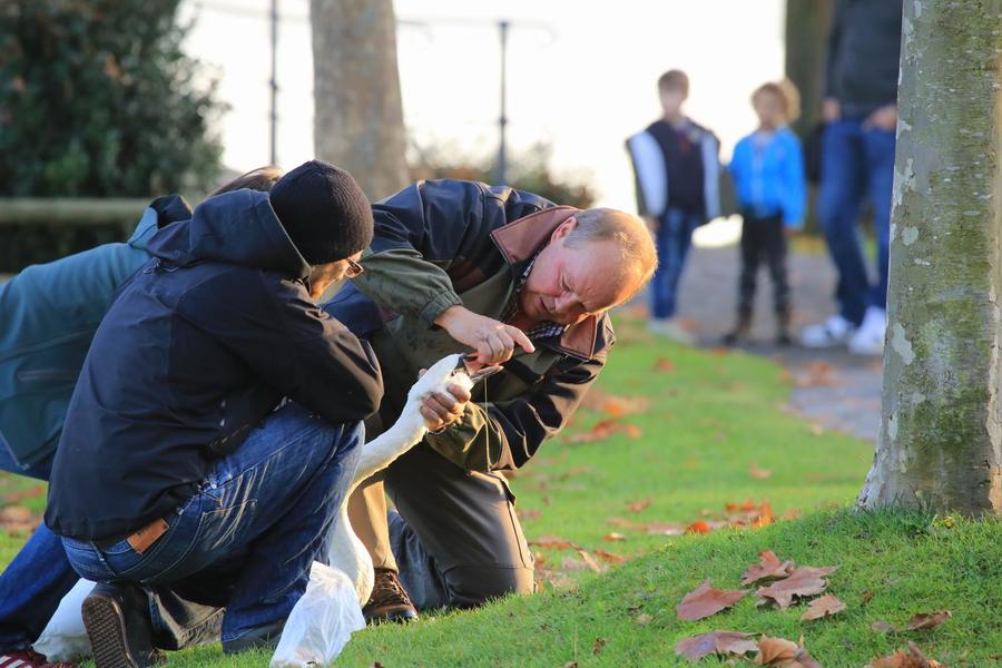 调整大小 IMG_4336.JPG