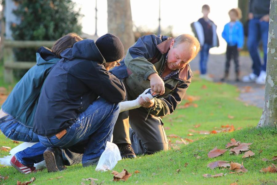 调整大小 IMG_4337.JPG