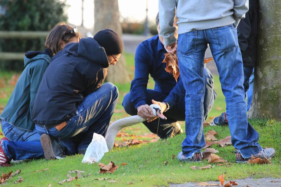 调整大小 IMG_4338.JPG