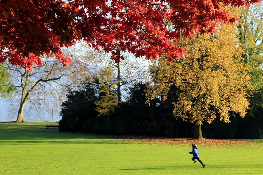 调整大小 IMG_4251.JPG