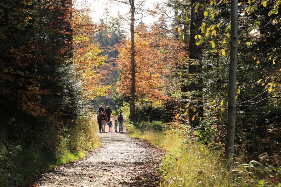 调整大小 IMG_3891.JPG