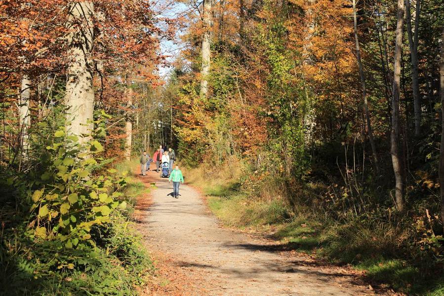 调整大小 IMG_3896.JPG