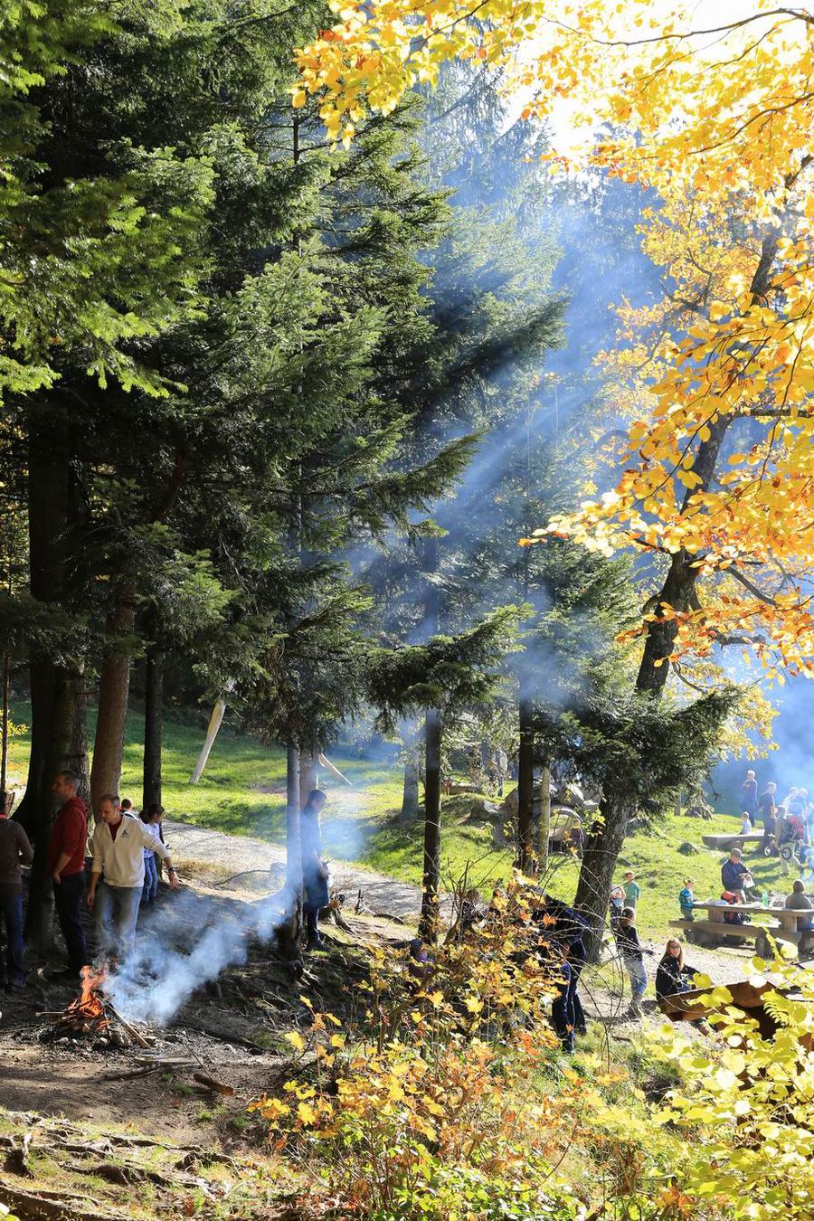 调整大小 IMG_3994.JPG