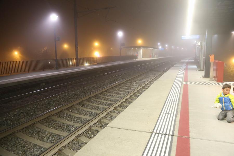 调整大小 IMG_3822.JPG