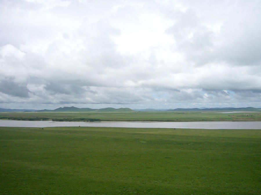 115.JPG