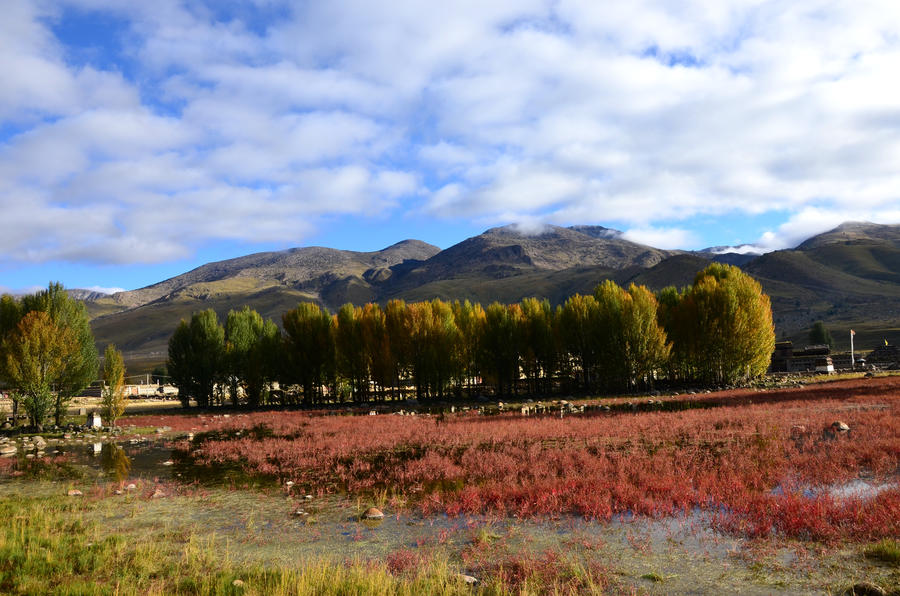 我们国家也有漂亮的地方