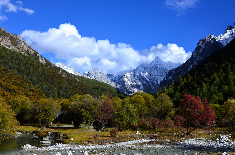 DSC_0452_副本.jpg