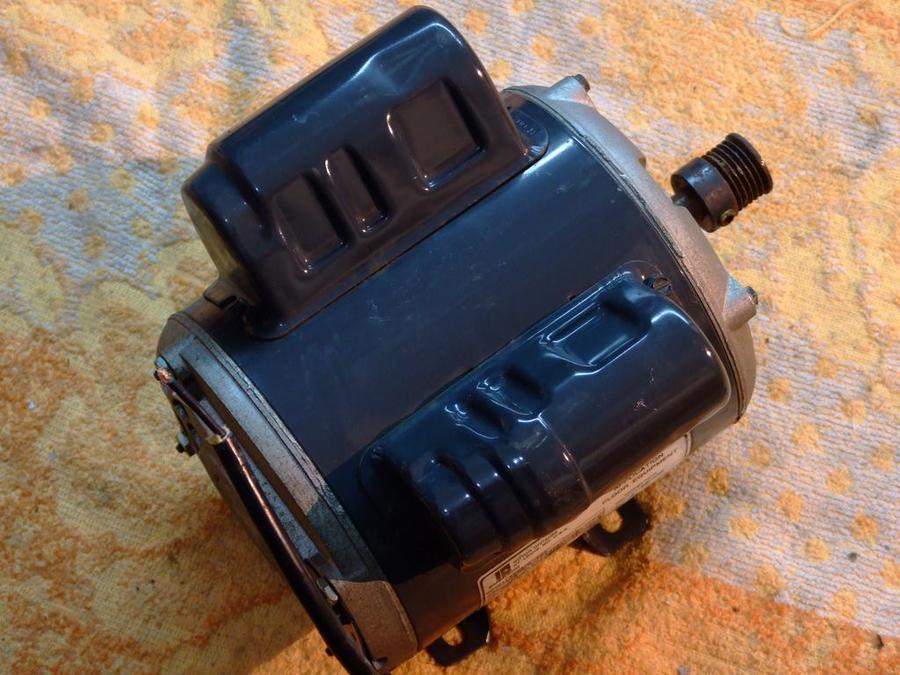 DSCF2546.jpg