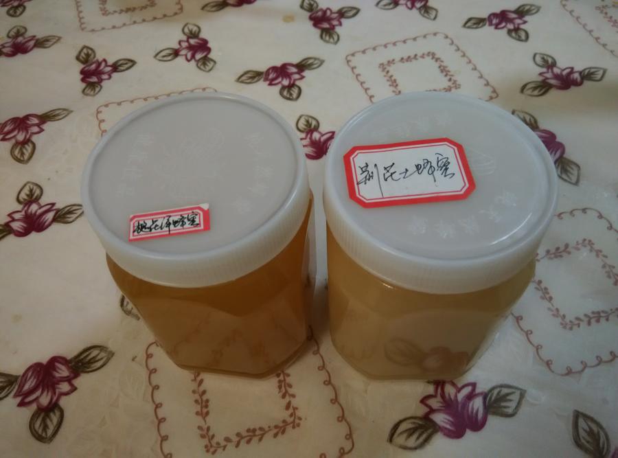 IMG_20150102_171233 - Copy.jpg