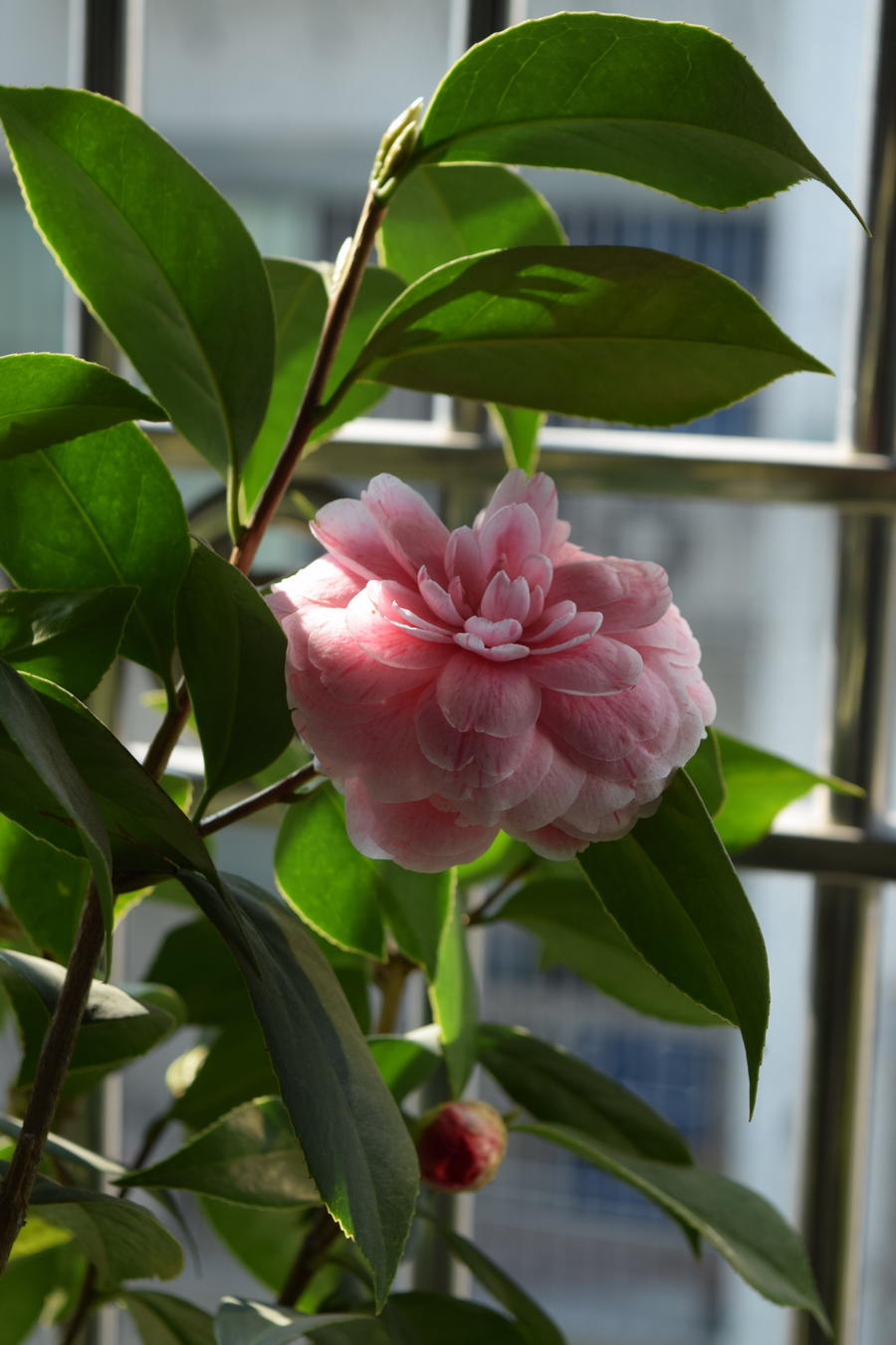 DSC_0007.jpg