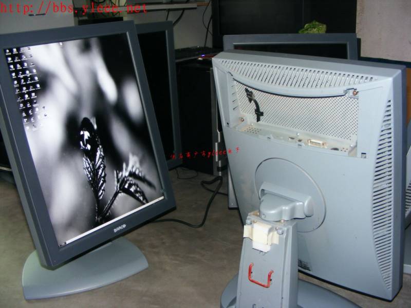 DSCF8825_1.jpg