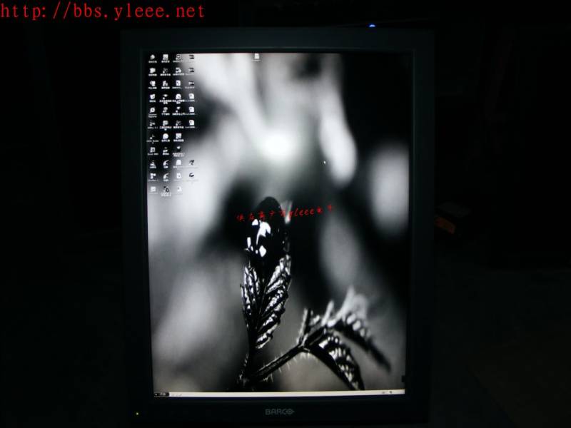 DSCF8821_1.jpg