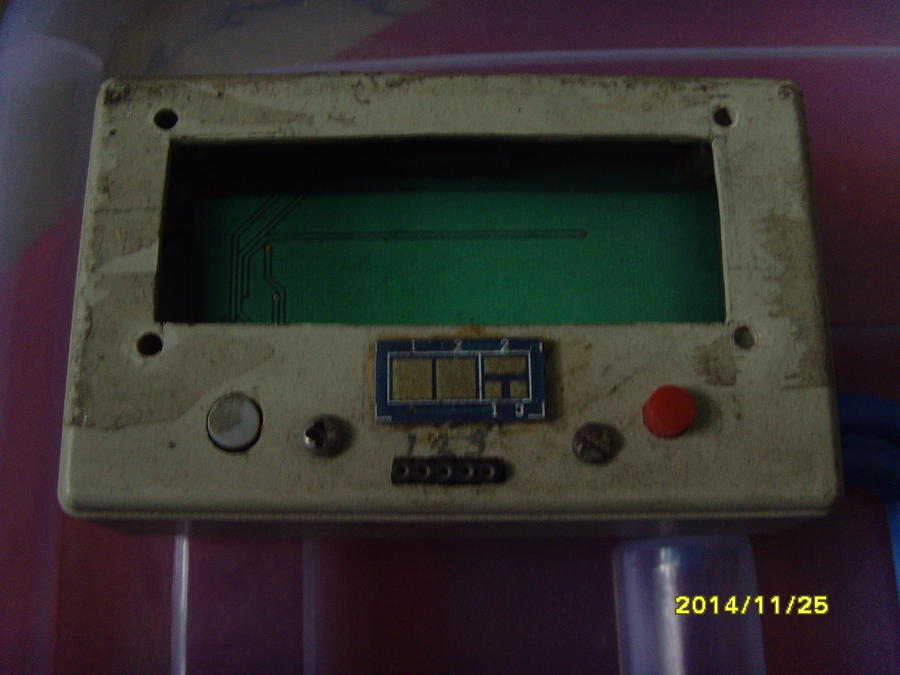 SNV33911.JPG