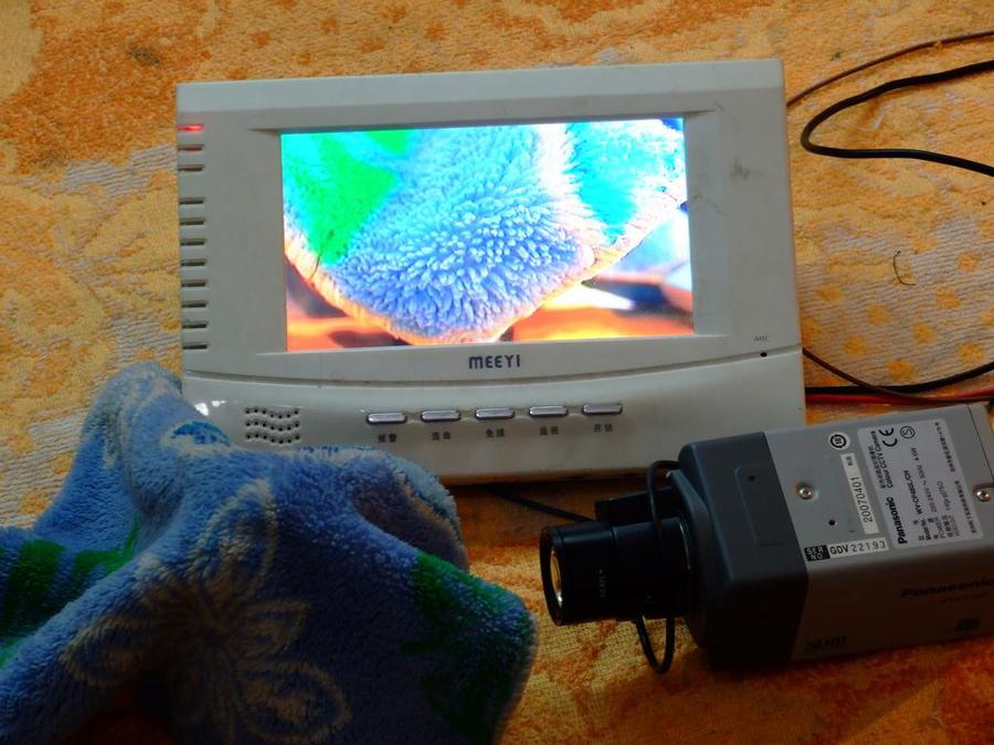DSCF2349.jpg