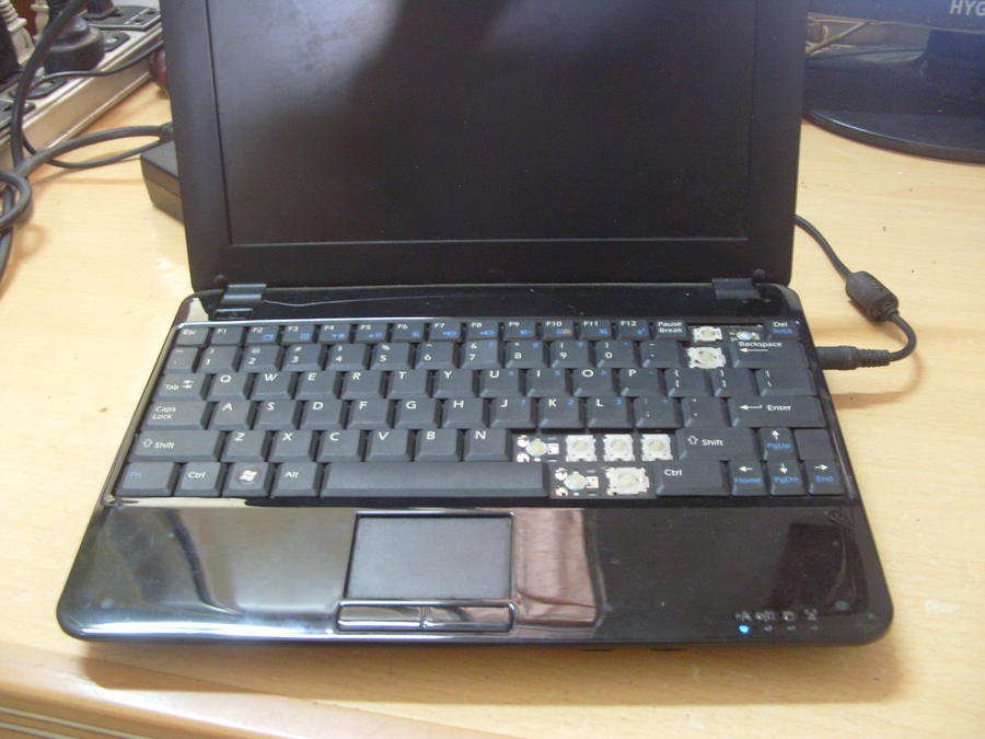 S1052434_缩小大小.JPG