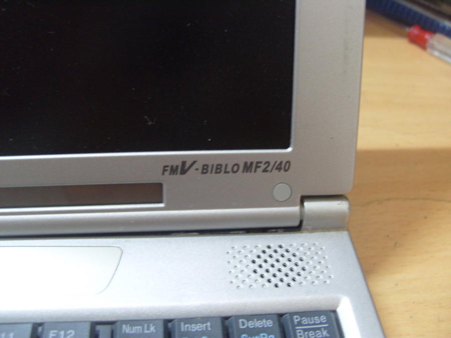 S1052428_缩小大小.JPG