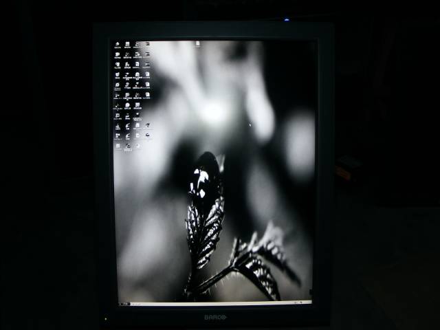 DSCF8821.JPG