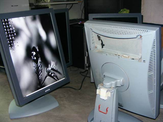 DSCF8825.JPG