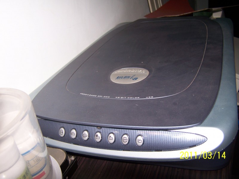 100_8451.JPG