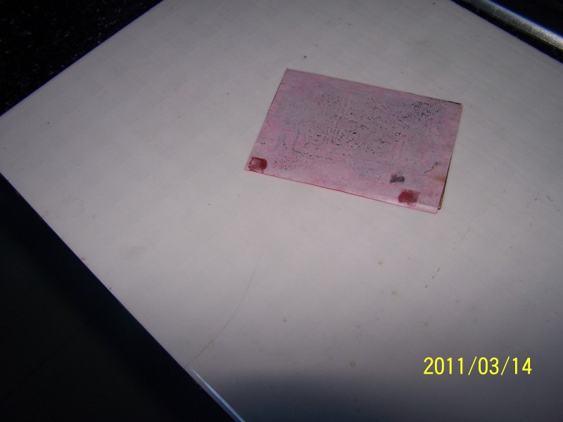 100_8461.JPG