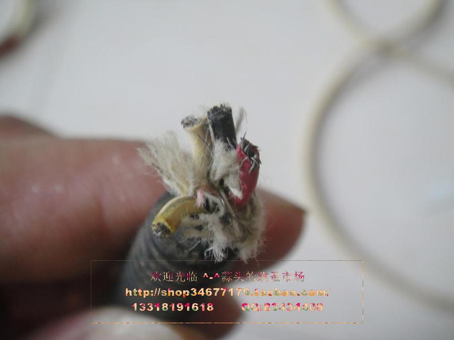 DSC04431.JPG