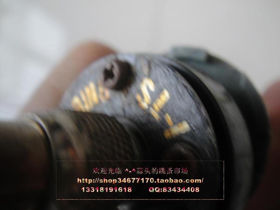 DSC04437.JPG