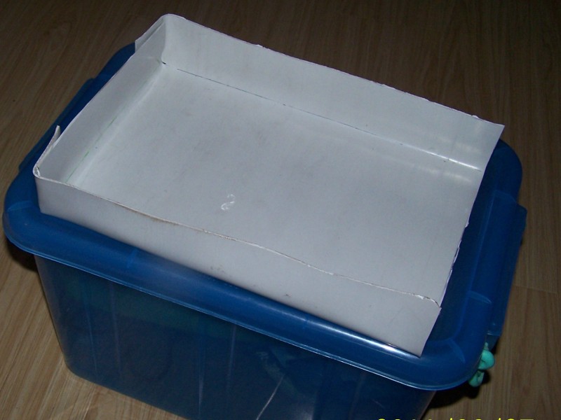 100_8478.JPG