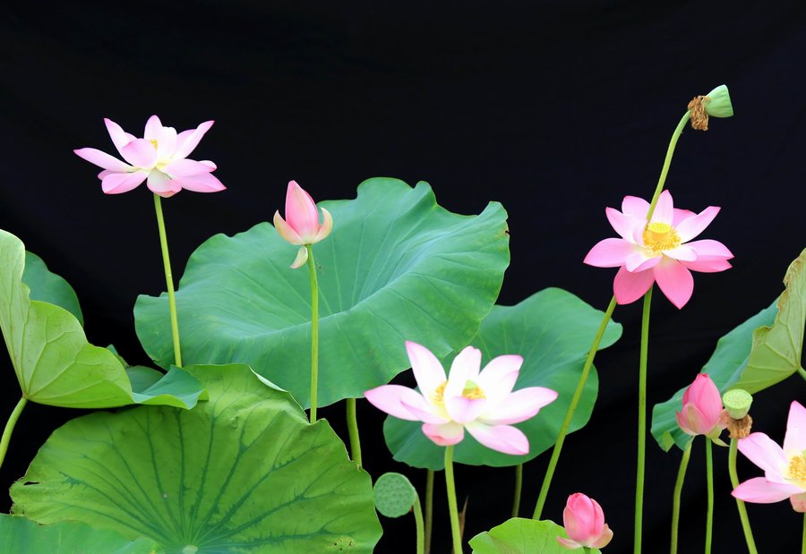 调整大小 IMG_9785.jpg