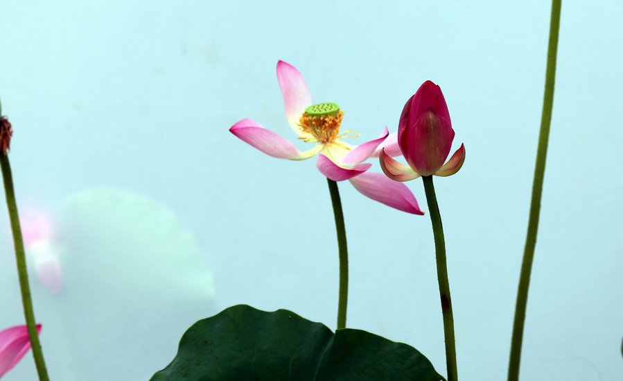 调整大小 IMG_9983.jpg