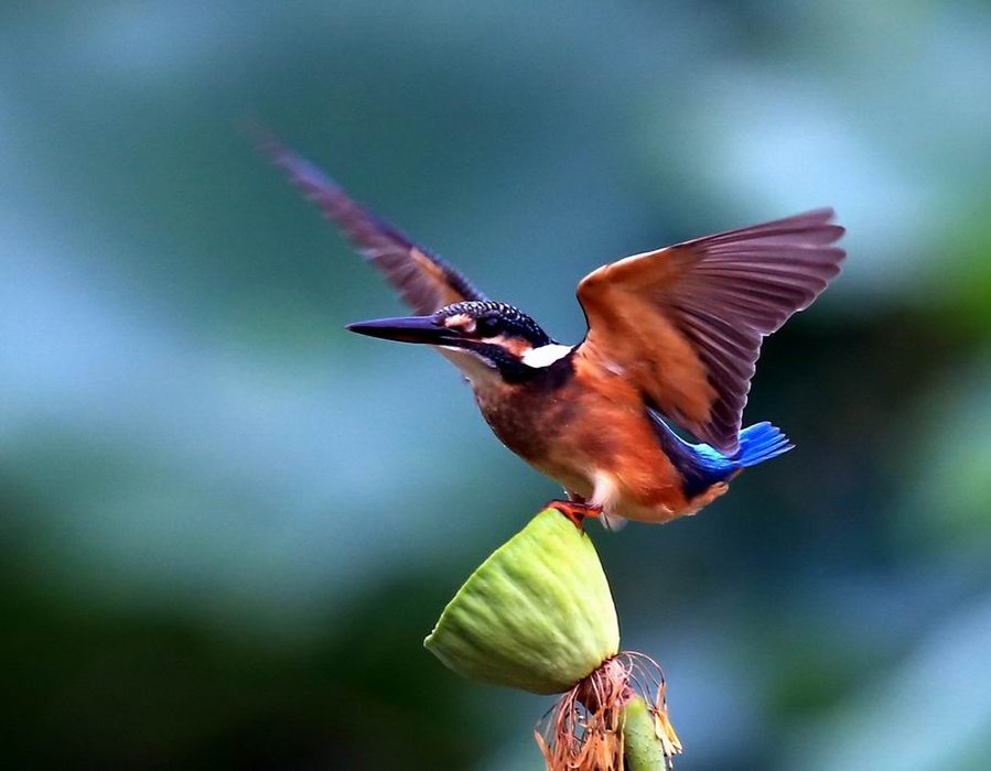 调整大小 IMG_9684.jpg