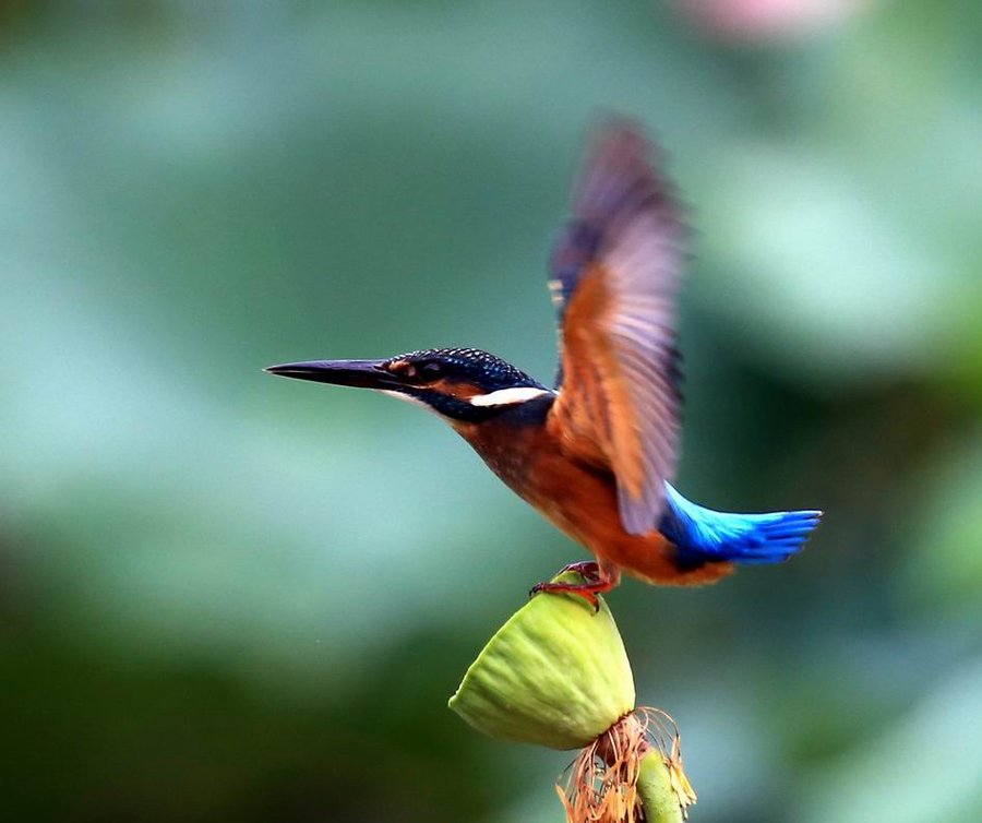 调整大小 IMG_9686.jpg