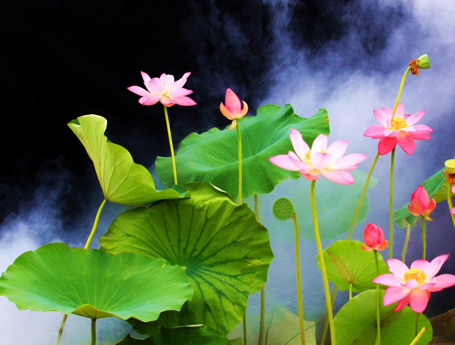 调整大小 IMG_9812.jpg