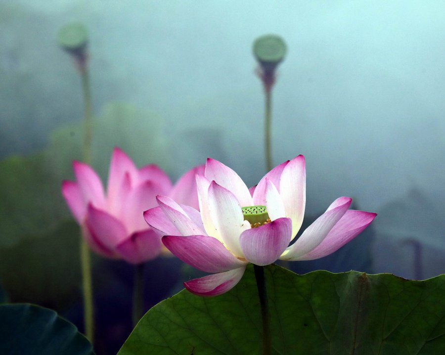 调整大小 IMG_9947.jpg