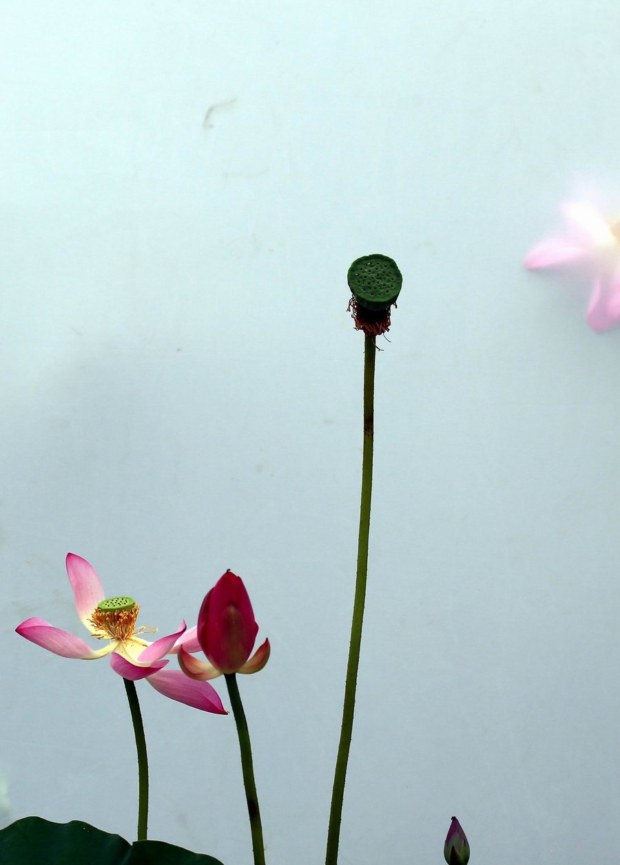 调整大小 IMG_9982.jpg